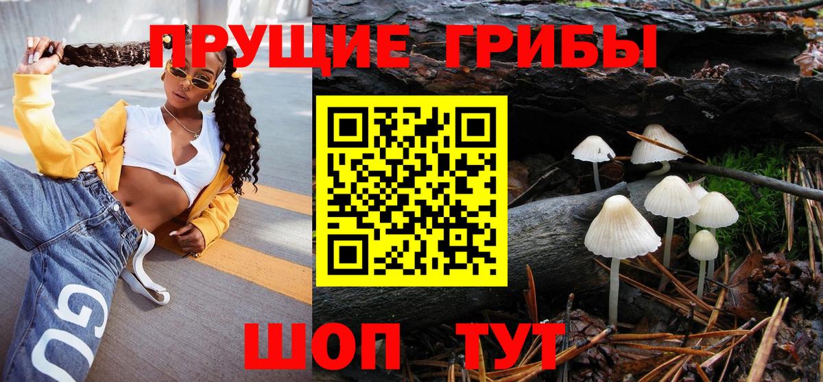 Псилоцибиновые грибы MAGIC MUSHROOMS  Берёзовский  Галлюциногенные грибы Psilocybe 