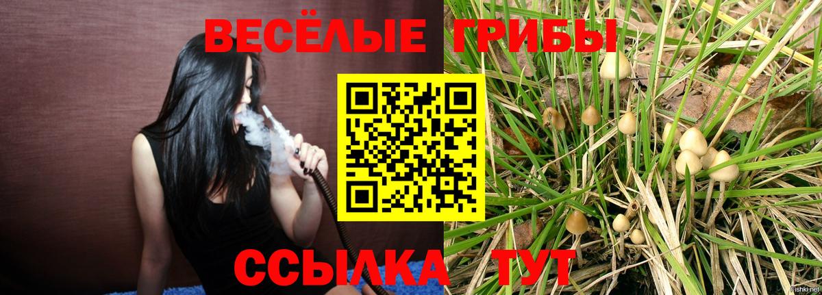 Галлюциногенные грибы GOLDEN TEACHER Берёзовский