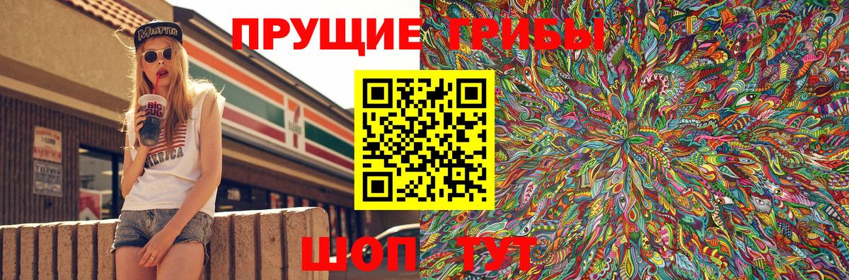 Галлюциногенные грибы Cubensis Берёзовский